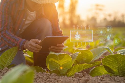 Crop Health Monitoring