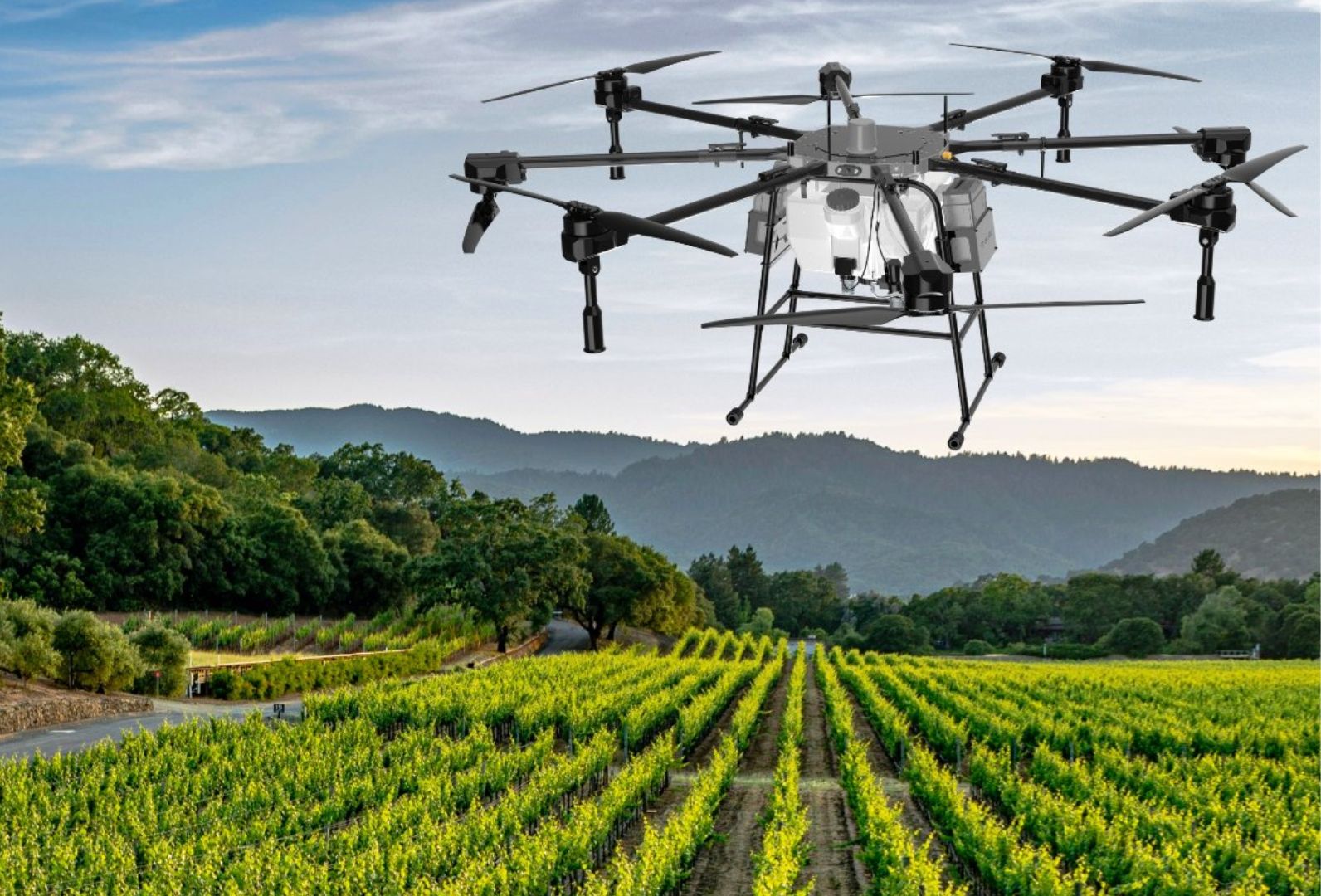 Key Features of Agricultural Drones