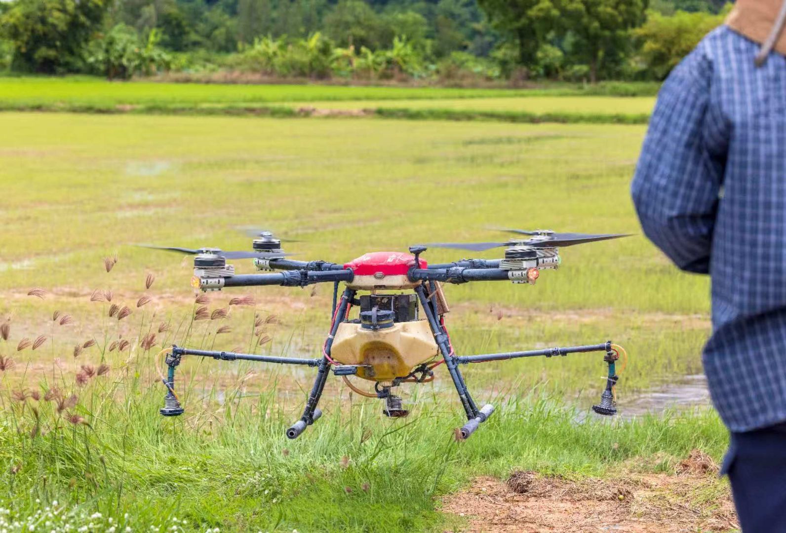 What is Crop Monitoring by Drones
