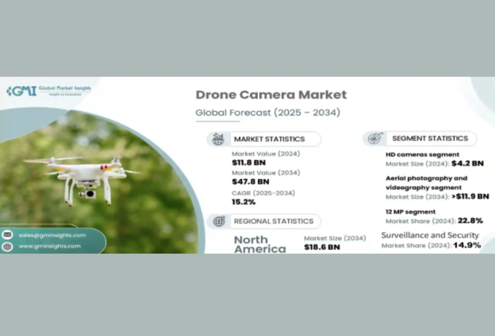 Property Surveillance Drone Market